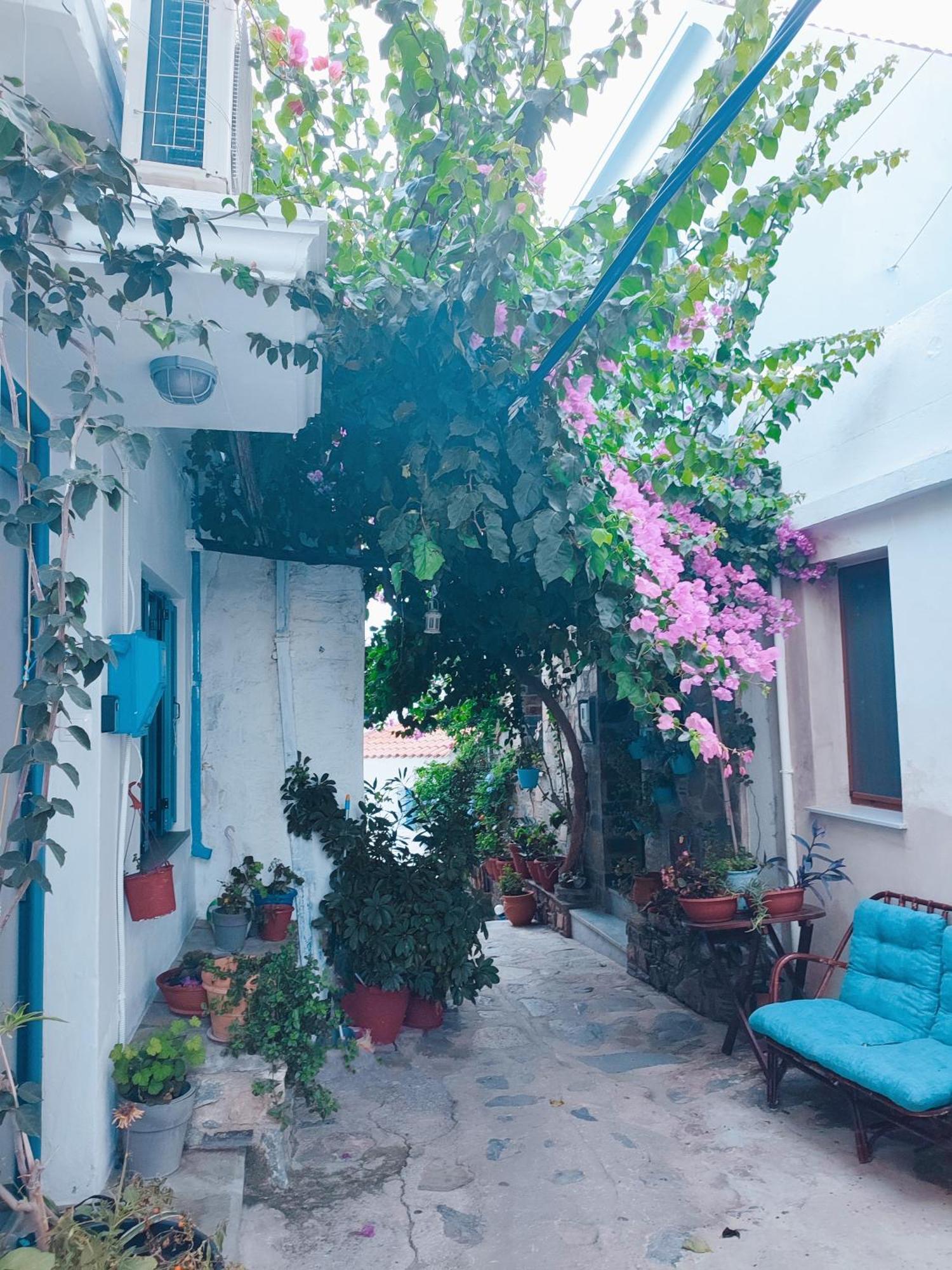 Villa Kastro House à Skopelos Extérieur photo